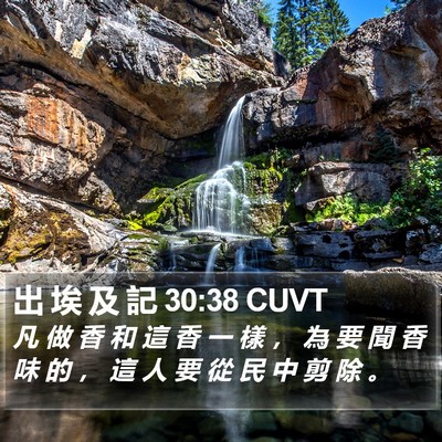 出 埃 及 記 30:38 CUVT Bible Verse Image