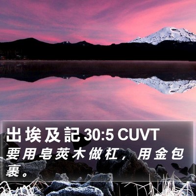 出 埃 及 記 30:5 CUVT Bible Verse Image