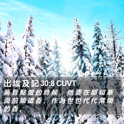 出 埃 及 記 30:8 CUVT Bible Verse Image