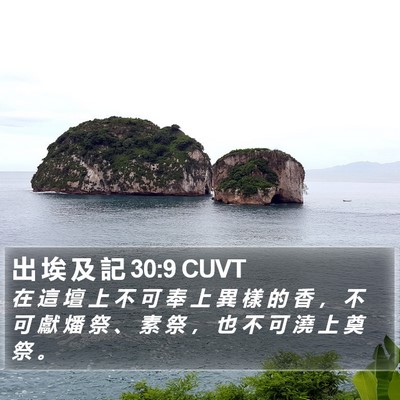 出 埃 及 記 30:9 CUVT Bible Verse Image
