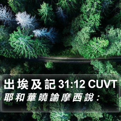 出 埃 及 記 31:12 CUVT Bible Verse Image