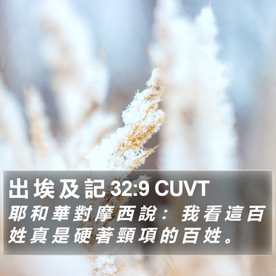 出 埃 及 記 32:9 CUVT Bible Verse Image