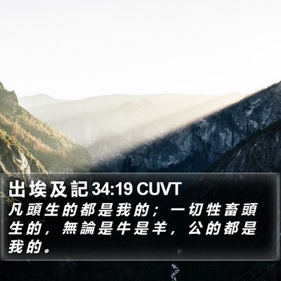 出 埃 及 記 34:19 CUVT Bible Verse Image