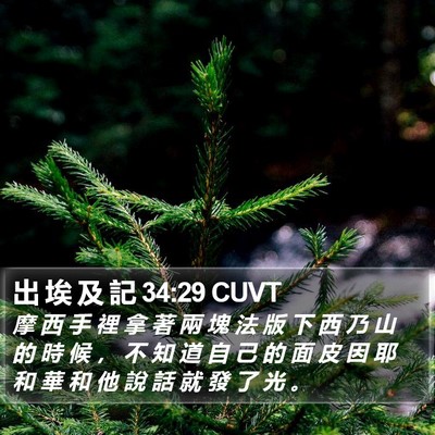 出 埃 及 記 34:29 CUVT Bible Verse Image