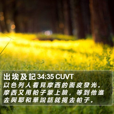 出 埃 及 記 34:35 CUVT Bible Verse Image