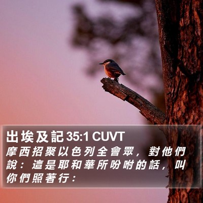 出 埃 及 記 35:1 CUVT Bible Verse Image