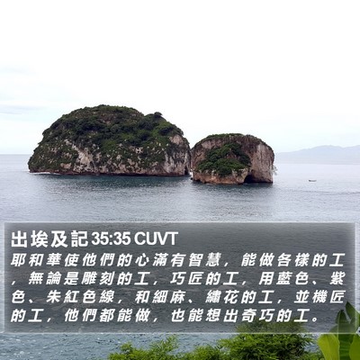 出 埃 及 記 35:35 CUVT Bible Verse Image