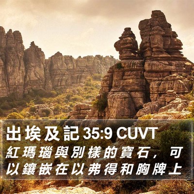 出 埃 及 記 35:9 CUVT Bible Verse Image