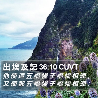 出 埃 及 記 36:10 CUVT Bible Verse Image
