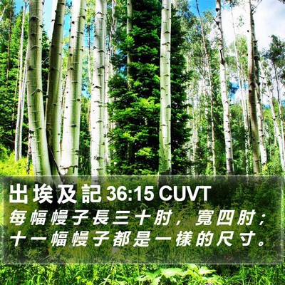 出 埃 及 記 36:15 CUVT Bible Verse Image