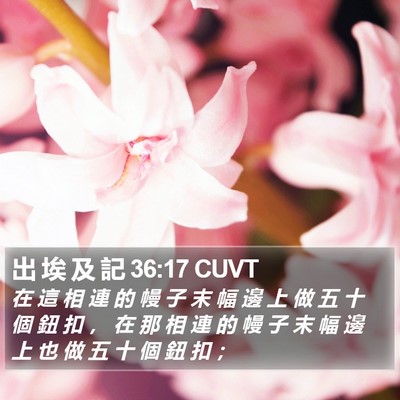 出 埃 及 記 36:17 CUVT Bible Verse Image