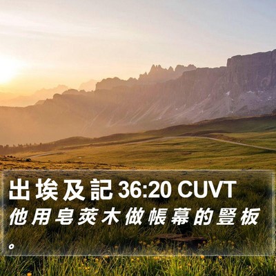 出 埃 及 記 36:20 CUVT Bible Verse Image