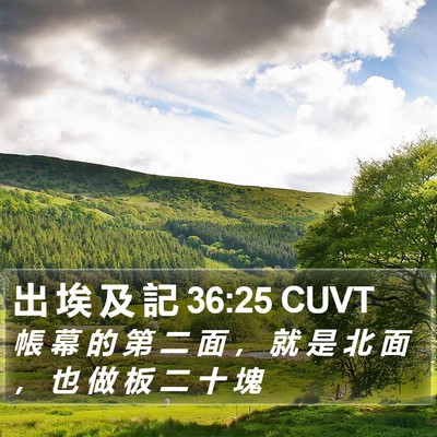 出 埃 及 記 36:25 CUVT Bible Verse Image