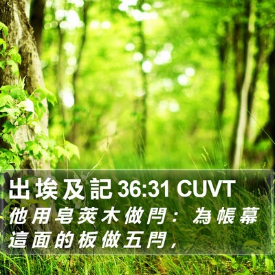 出 埃 及 記 36:31 CUVT Bible Verse Image