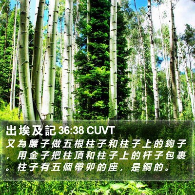 出 埃 及 記 36:38 CUVT Bible Verse Image