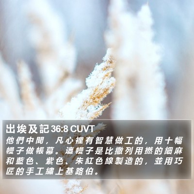 出 埃 及 記 36:8 CUVT Bible Verse Image