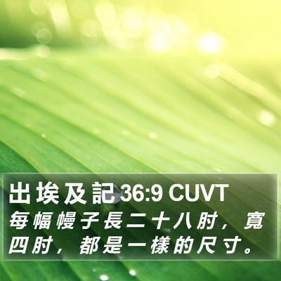 出 埃 及 記 36:9 CUVT Bible Verse Image