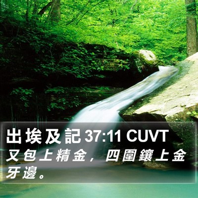 出 埃 及 記 37:11 CUVT Bible Verse Image