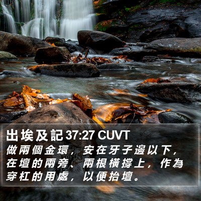 出 埃 及 記 37:27 CUVT Bible Verse Image