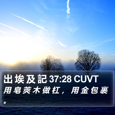 出 埃 及 記 37:28 CUVT Bible Verse Image