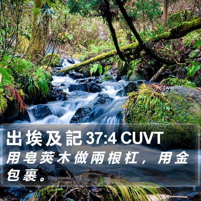 出 埃 及 記 37:4 CUVT Bible Verse Image