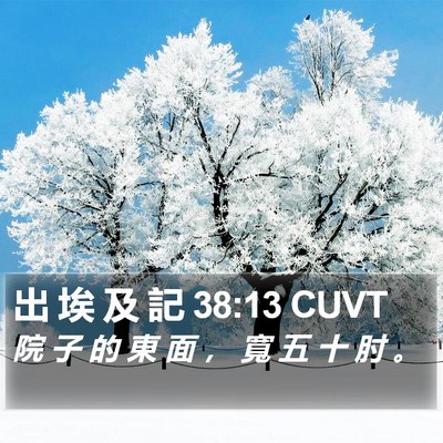 出 埃 及 記 38:13 CUVT Bible Verse Image