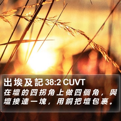 出 埃 及 記 38:2 CUVT Bible Verse Image