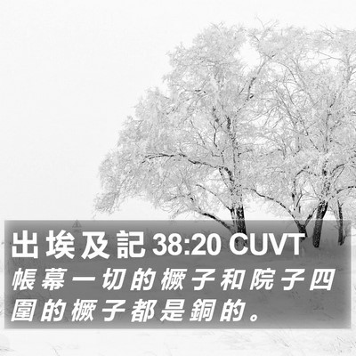 出 埃 及 記 38:20 CUVT Bible Verse Image