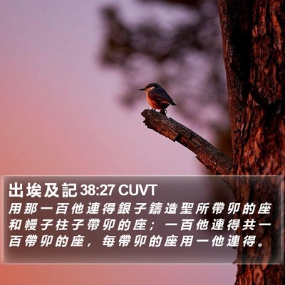 出 埃 及 記 38:27 CUVT Bible Verse Image