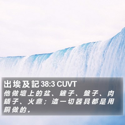 出 埃 及 記 38:3 CUVT Bible Verse Image