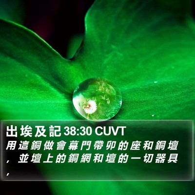 出 埃 及 記 38:30 CUVT Bible Verse Image