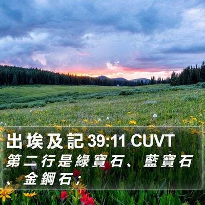 出 埃 及 記 39:11 CUVT Bible Verse Image