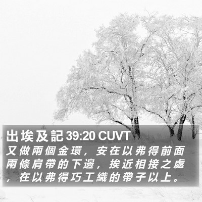 出 埃 及 記 39:20 CUVT Bible Verse Image