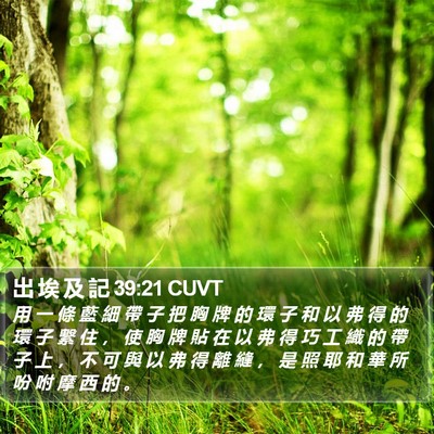 出 埃 及 記 39:21 CUVT Bible Verse Image