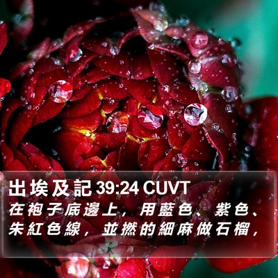 出 埃 及 記 39:24 CUVT Bible Verse Image
