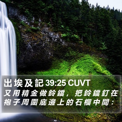 出 埃 及 記 39:25 CUVT Bible Verse Image
