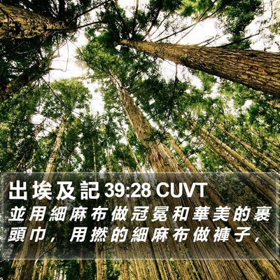 出 埃 及 記 39:28 CUVT Bible Verse Image