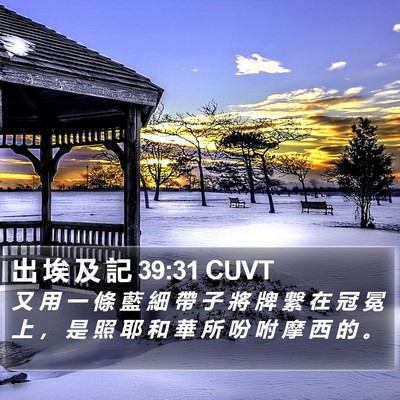 出 埃 及 記 39:31 CUVT Bible Verse Image