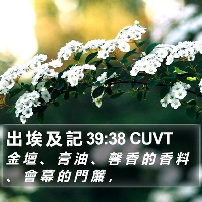 出 埃 及 記 39:38 CUVT Bible Verse Image