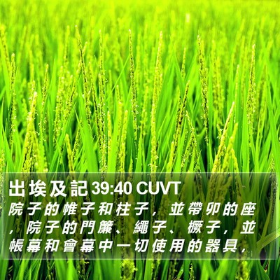 出 埃 及 記 39:40 CUVT Bible Verse Image