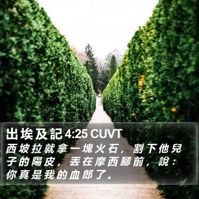 出 埃 及 記 4:25 CUVT Bible Verse Image
