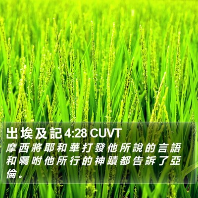 出 埃 及 記 4:28 CUVT Bible Verse Image