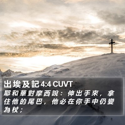 出 埃 及 記 4:4 CUVT Bible Verse Image