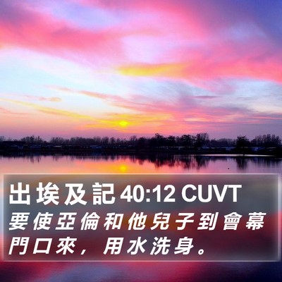 出 埃 及 記 40:12 CUVT Bible Verse Image