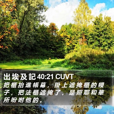 出 埃 及 記 40:21 CUVT Bible Verse Image