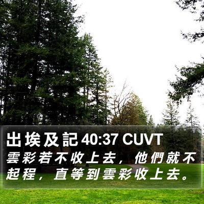 出 埃 及 記 40:37 CUVT Bible Verse Image