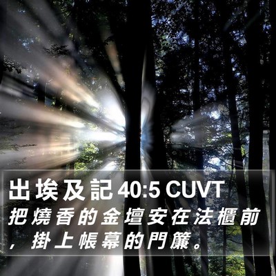出 埃 及 記 40:5 CUVT Bible Verse Image