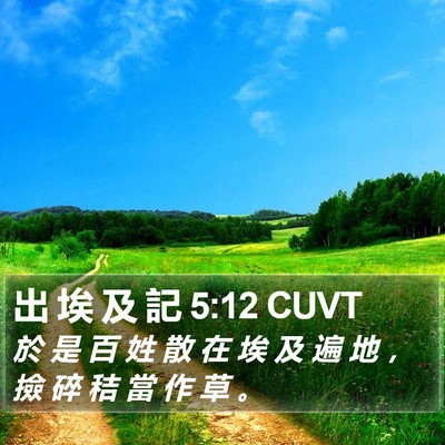 出 埃 及 記 5:12 CUVT Bible Verse Image