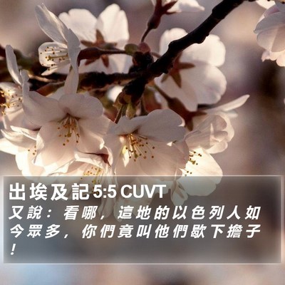 出 埃 及 記 5:5 CUVT Bible Verse Image