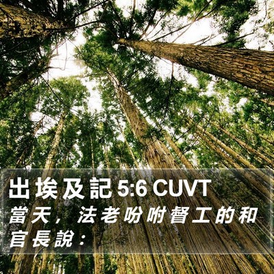 出 埃 及 記 5:6 CUVT Bible Verse Image